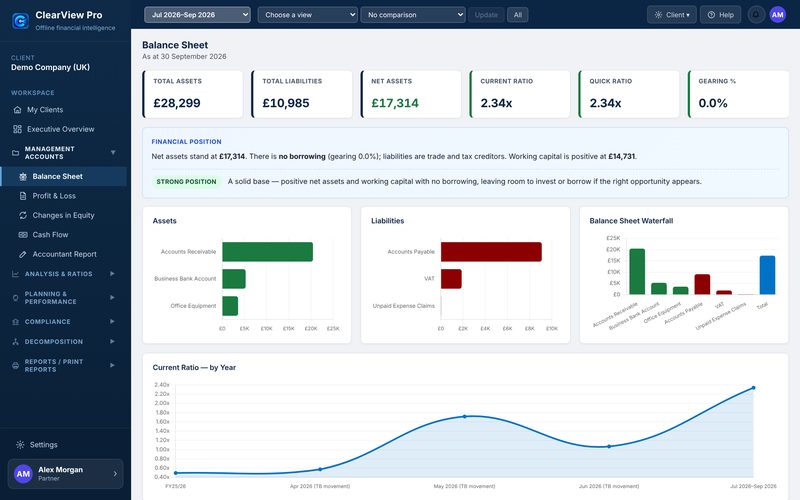 Balance Sheet page with net assets, working capital and the statement
