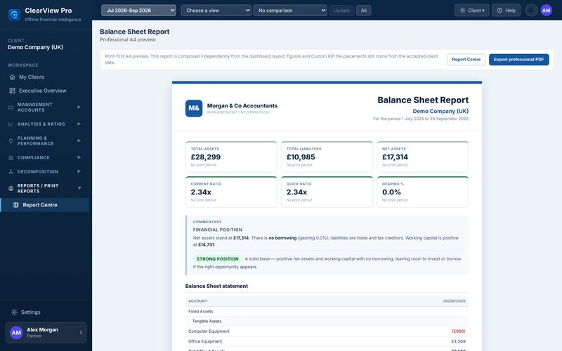 Professional A4 Balance Sheet report preview with commentary